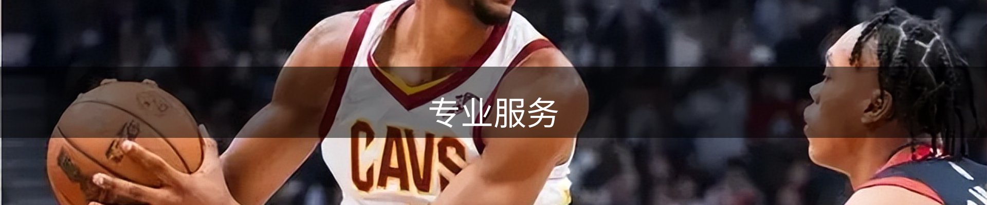 专业服务